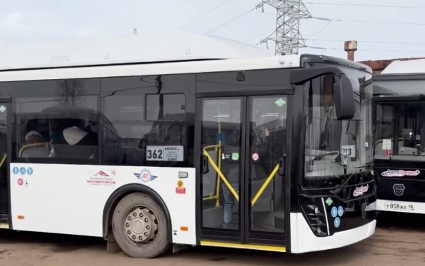 Фото: Роман Ефимов