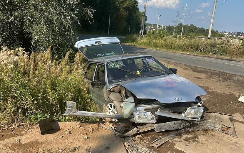 Фото: Госавтоинспекция Удмуртии