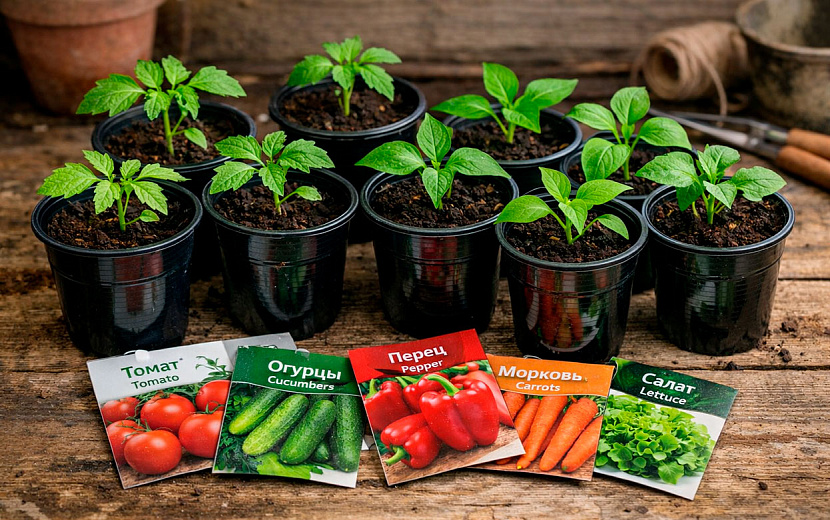 Какие правила стоит соблюдать, чтобы не потерять время и деньги. Фото: ChatGPT