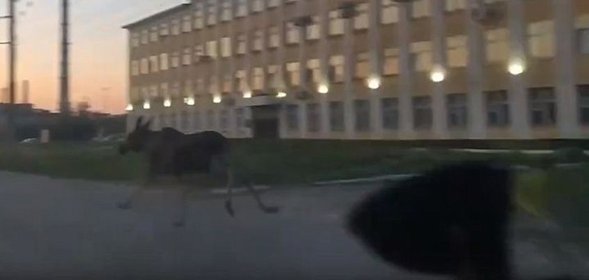 скриншот с видео Антона Попова