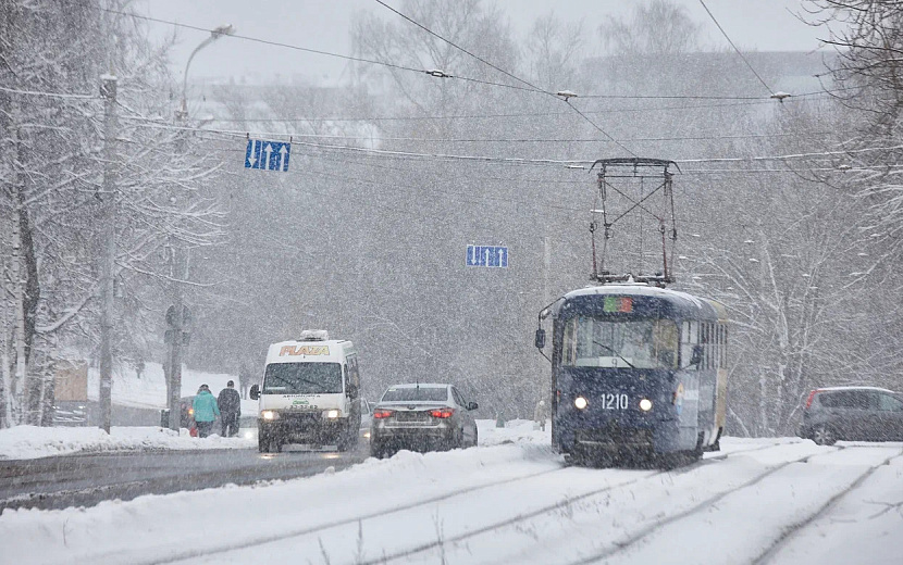Фото: Сергей Грачев