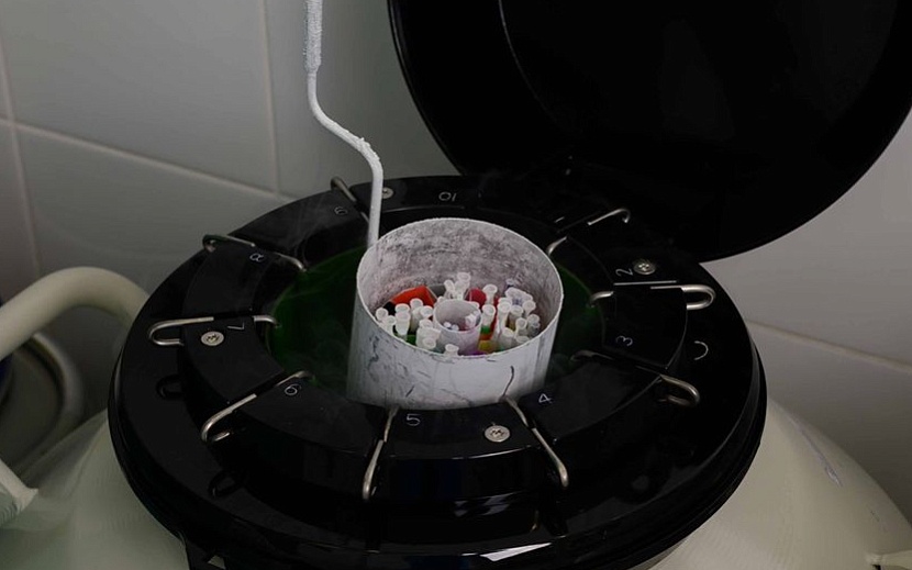 Как 196-градусный холод помогает появиться новой жизни. Фото: ООО «ЦРЗ»