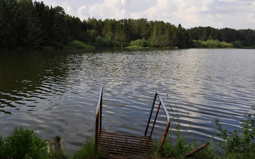 Фото: Алена Селезнева