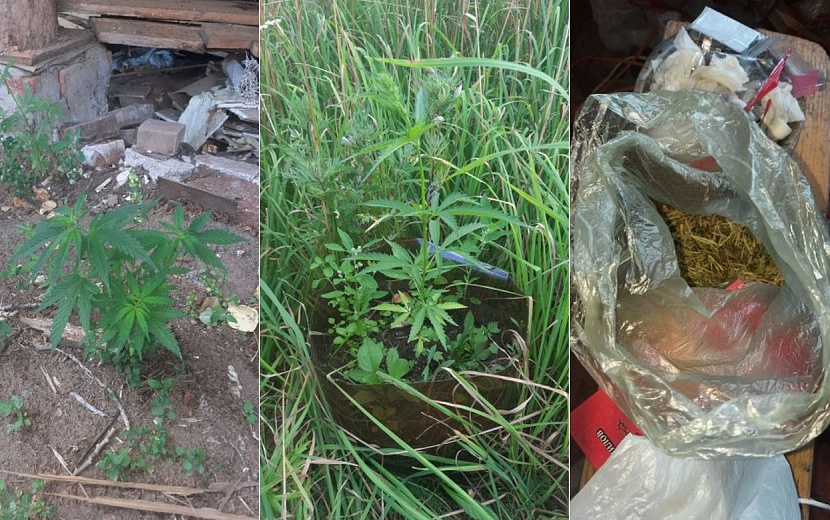 Фото: пресс-служба МВД по Удмуртии