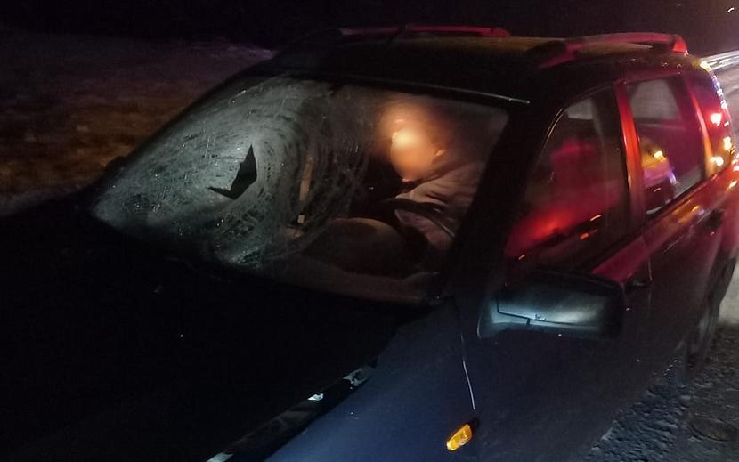 Фото: 1-й отдел УГИБДД по Удмуртии
