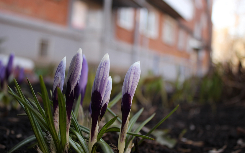Фото: архив редакции