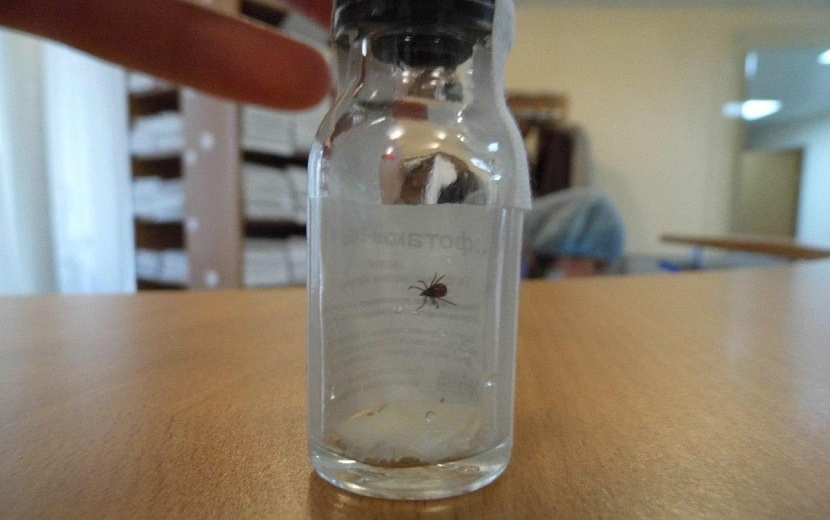 Фото: архив редакции 