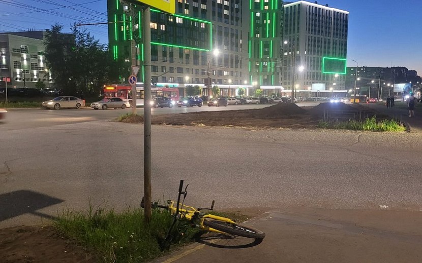 Фото: Госавтоинспекция Удмуртии