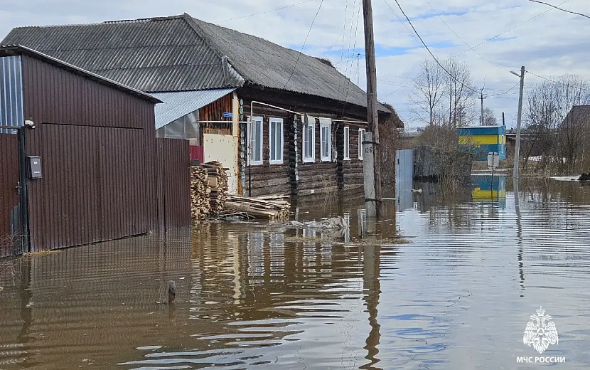 Фото: пресс-служба ГУ МЧС по Удмуртии