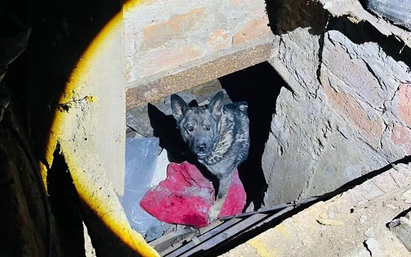 Фото: Поисково-спасательная служба Удмуртии