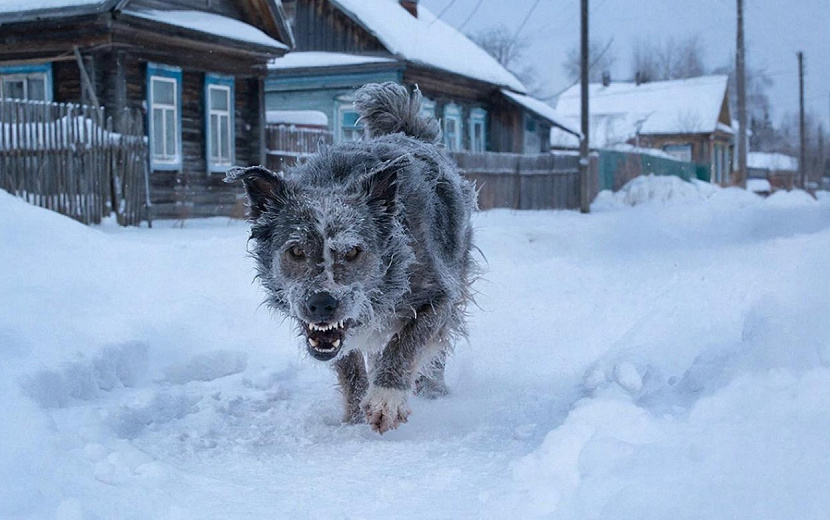 Фото: нейросеть
