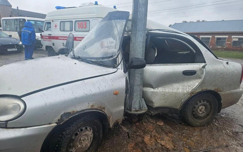 Фото: Госавтоинспекция Удмуртии