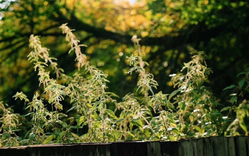 Фото: Мария Бакланова