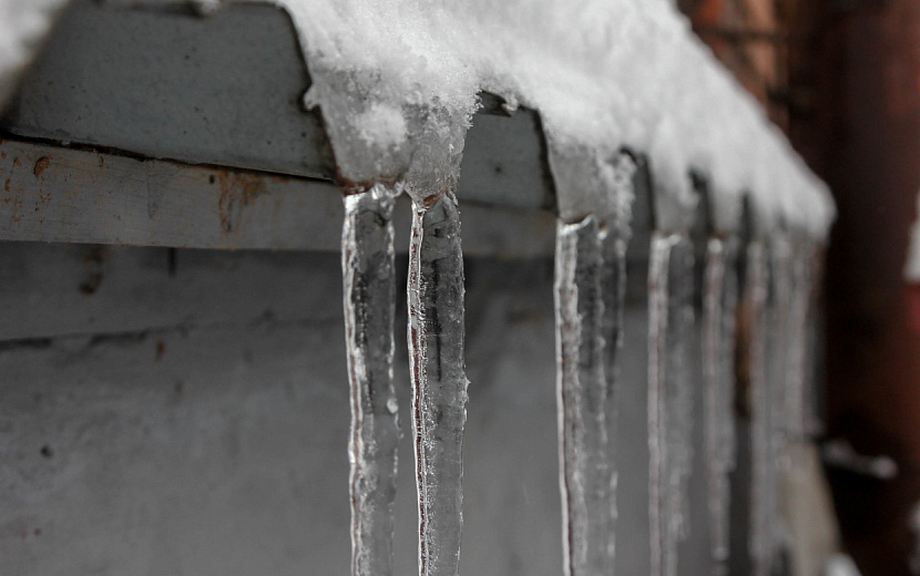 Фото: Л. Иванова