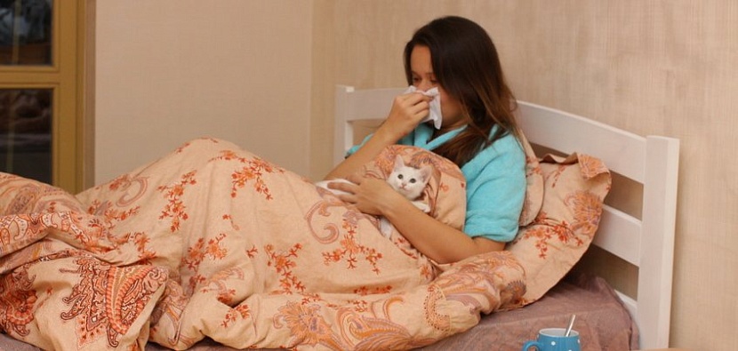 Сергей Грачев