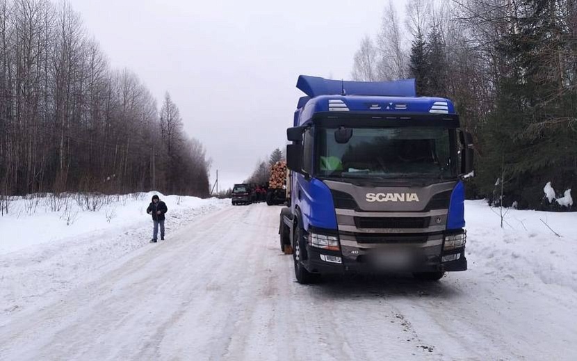 Фото: Госавтоинспекция Удмуртии