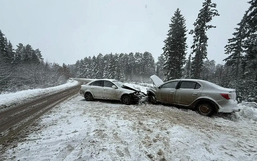 Фото: Госавтоинспекция Удмуртии