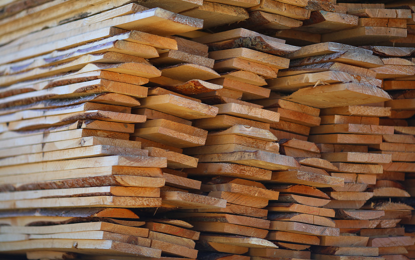 Фото: Амир Закиров