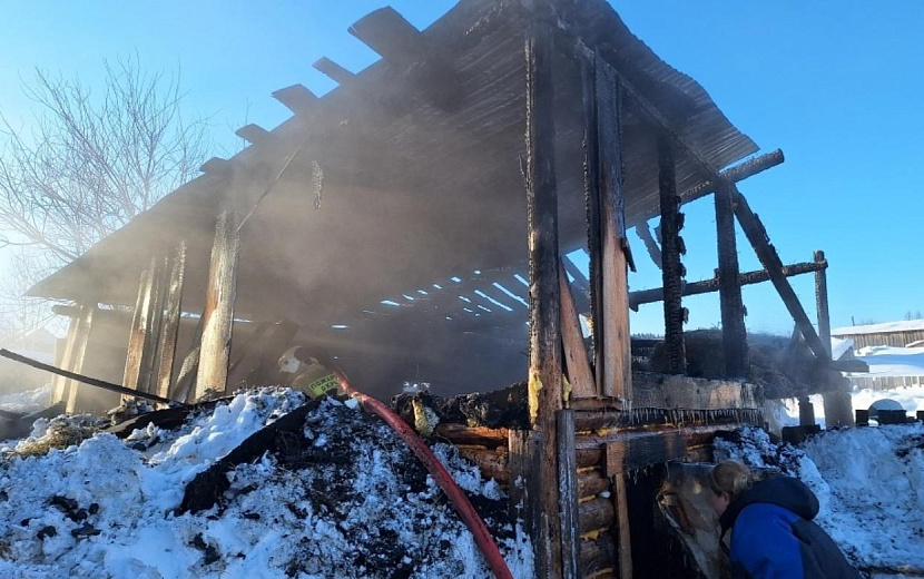 Фото: vk.com/eddsshark