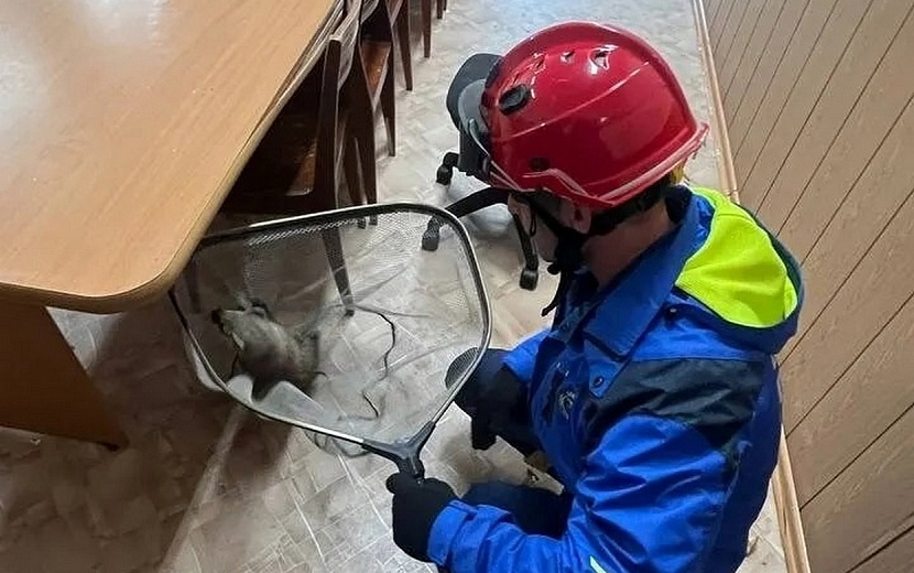 Фото: Поисково-спасательная служба Удмуртии