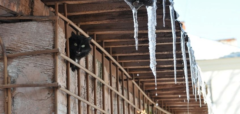 архив редакции