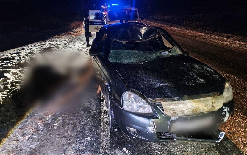 Фото: Госавтоинспекция Удмуртии