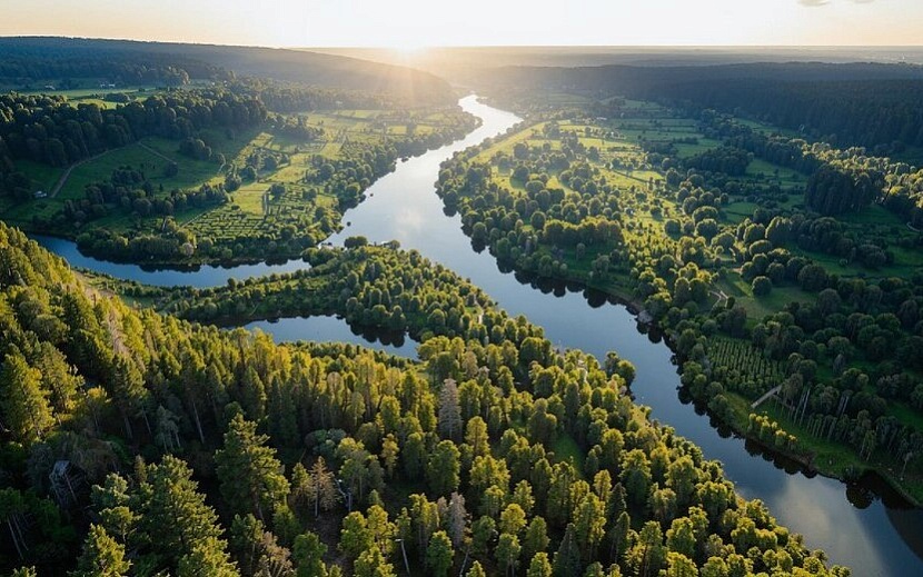 Фото: сгенерировано нейросетью