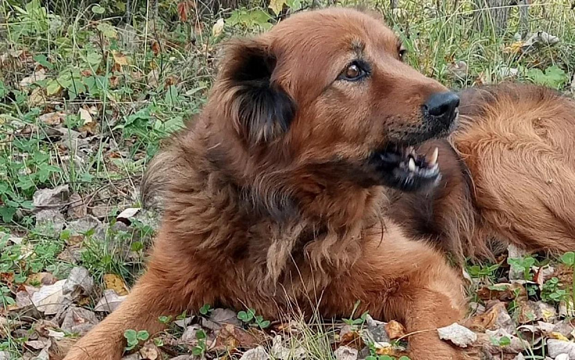 Фото: vk.com/club219544779