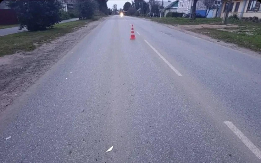 Фото: Госавтоинспекция Удмуртии