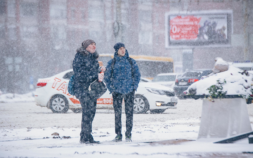 Фото: Сергей  Грачев