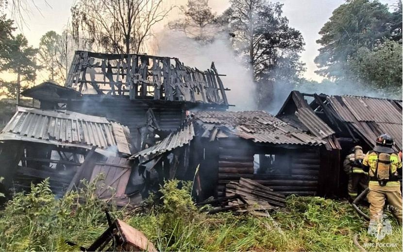 Фото: пресс-служба МЧС Удмуртии