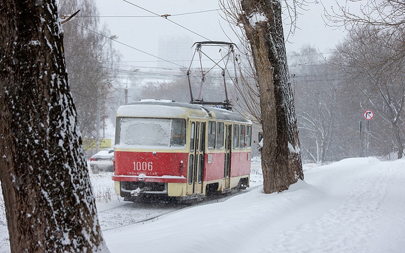 Фото: Сергей Грачев