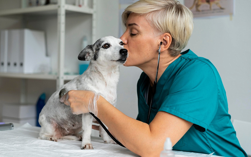 Не забывайте проверять здоровье вашего любимца. Freepik.com 