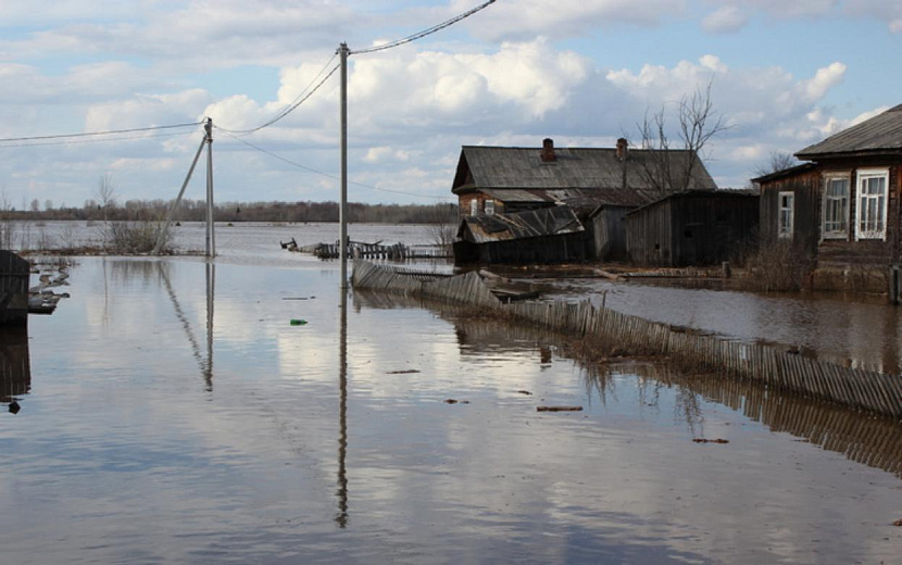 Фото: Сергей Грачев 