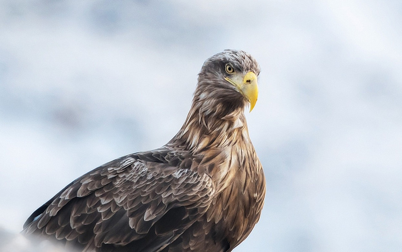 Фото: vk.com/club233797942