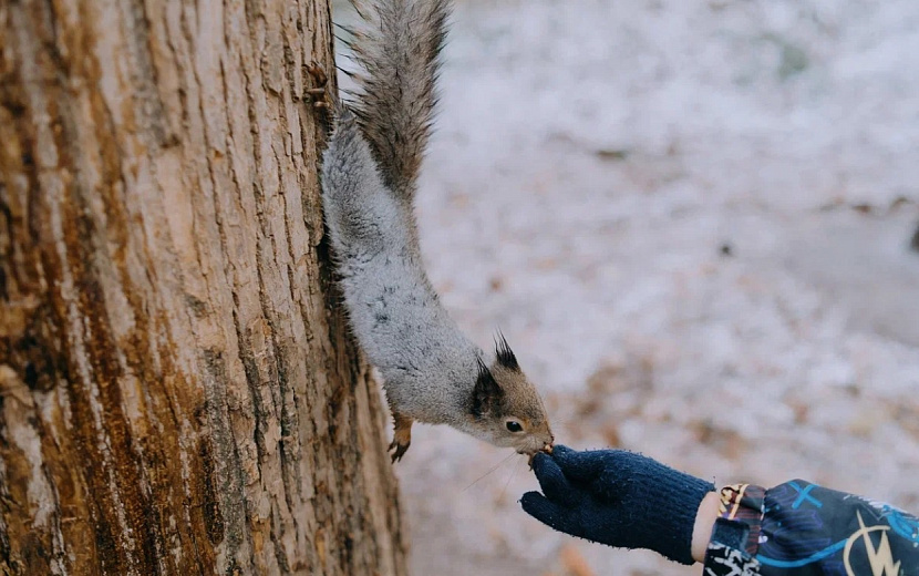  Что обсуждают в Ижевске сегодня? Фото: Мария Бакланова