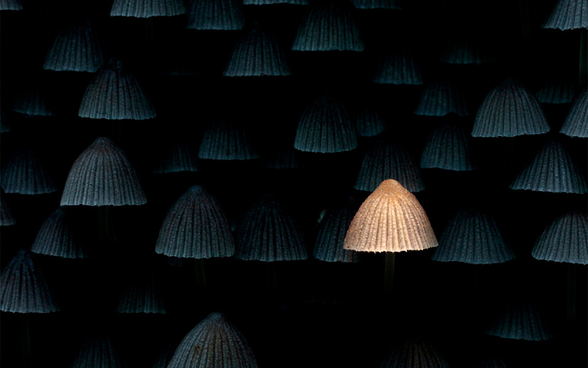 Фото: личный архив героя 