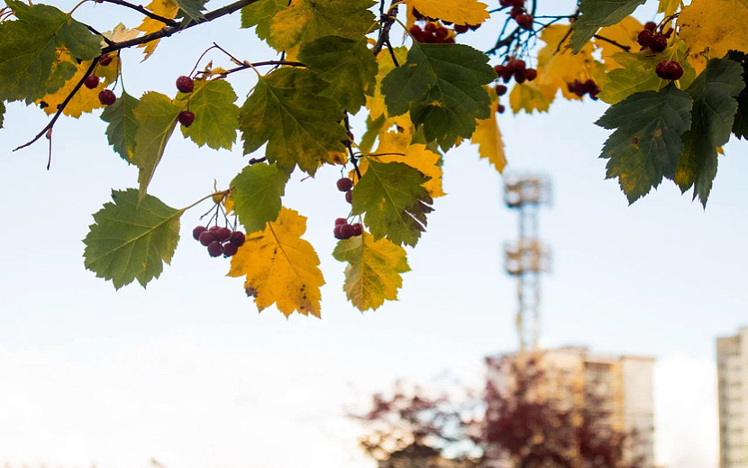 Фото: Данил Иванов