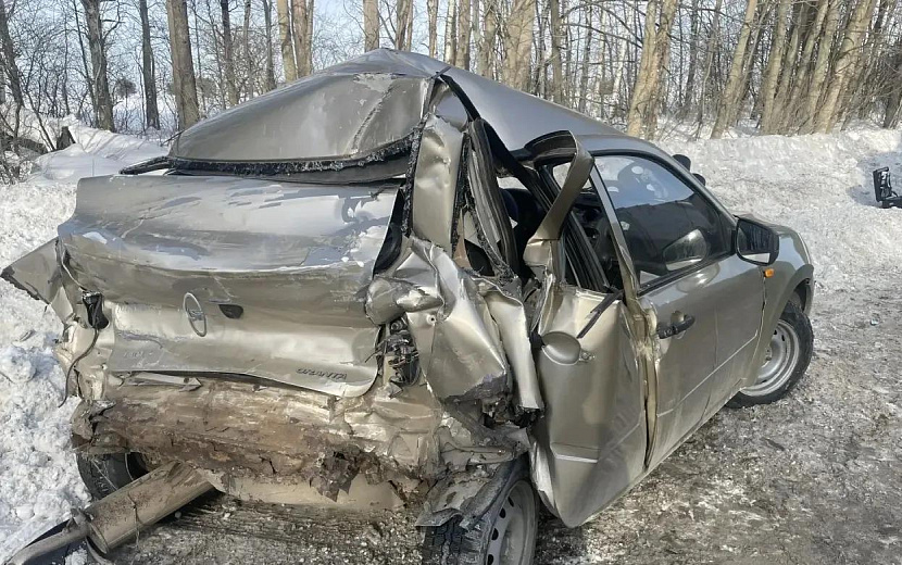 Фото: Госавтоинспекция Удмуртии