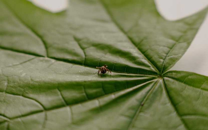 Фото: Маша Бакланова