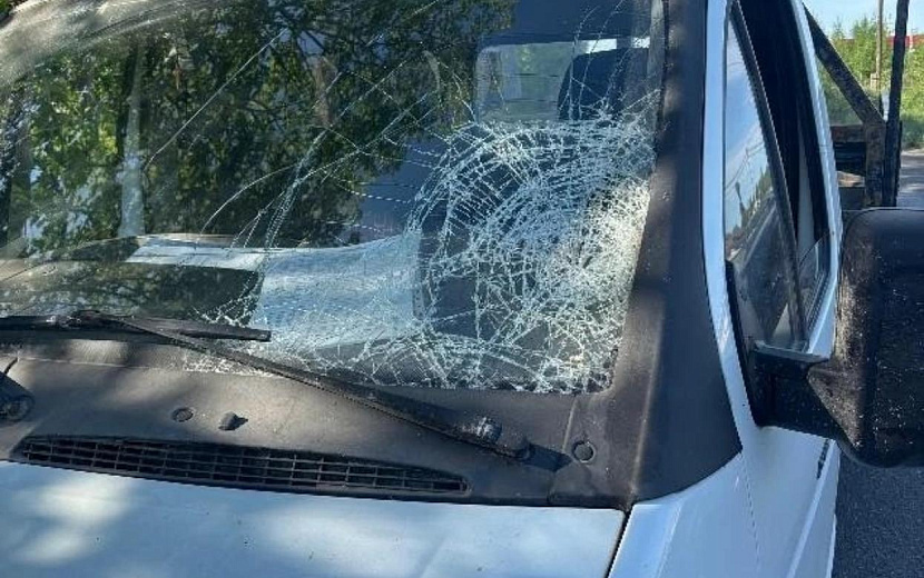 Фото: Госавтоинспекция Удмуртии