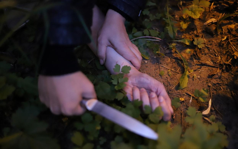 Фото: Амир Закиров