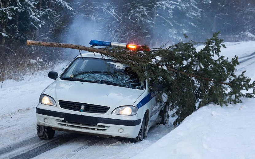 Фото: нейросеть