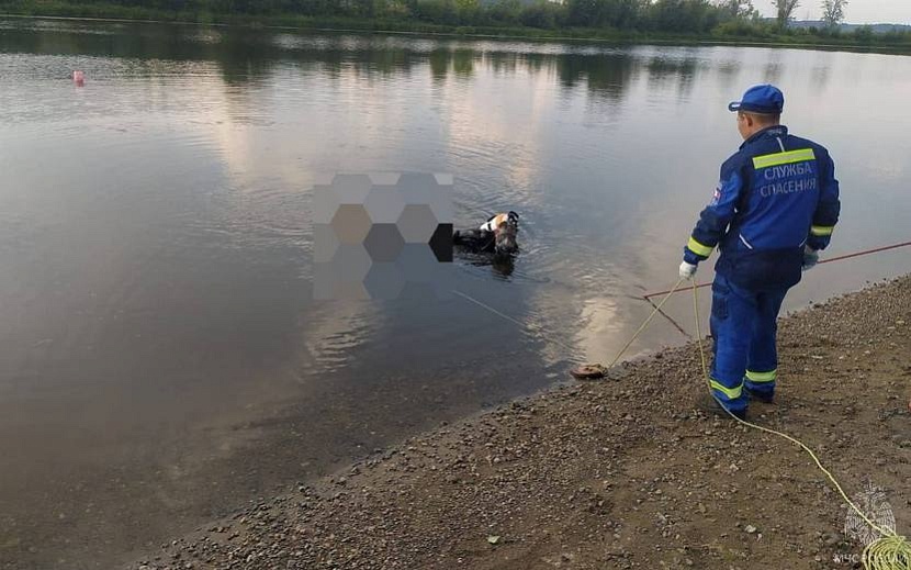 Фото: пресс-служба ГУ МЧС по Удмуртии