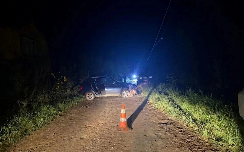 Фото: Госавтоинспекция Удмуртии