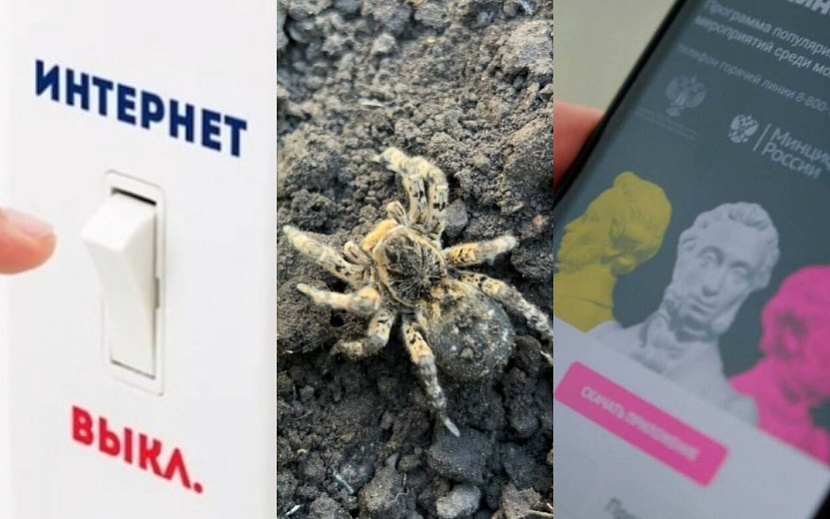 Фото: сообщества соцсети ВКонтакте