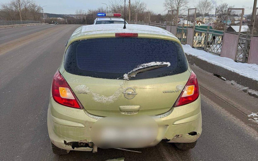 Фото: Госавтоинспекция Удмуртии