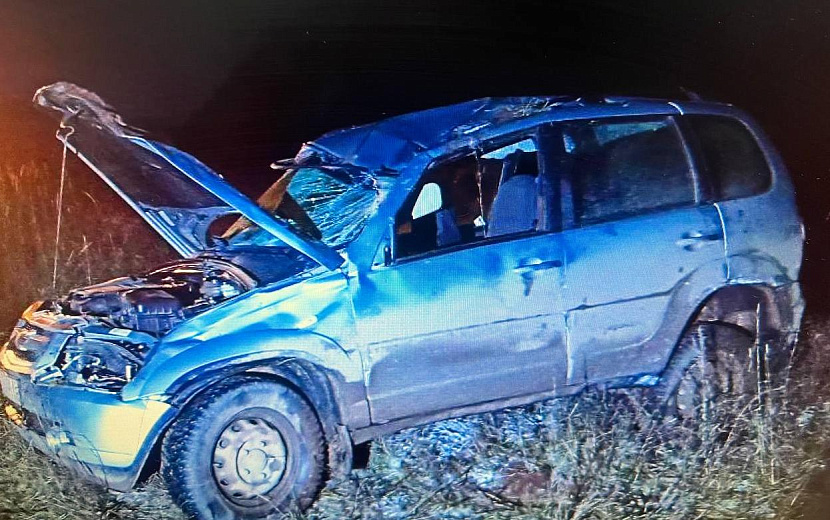 Фото: Госавтоинспекция Удмуртии