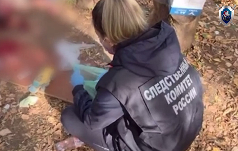 Фото: Следственный комитет 