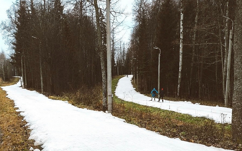 Фото: пресс-служба Главы и правительства Удмуртии